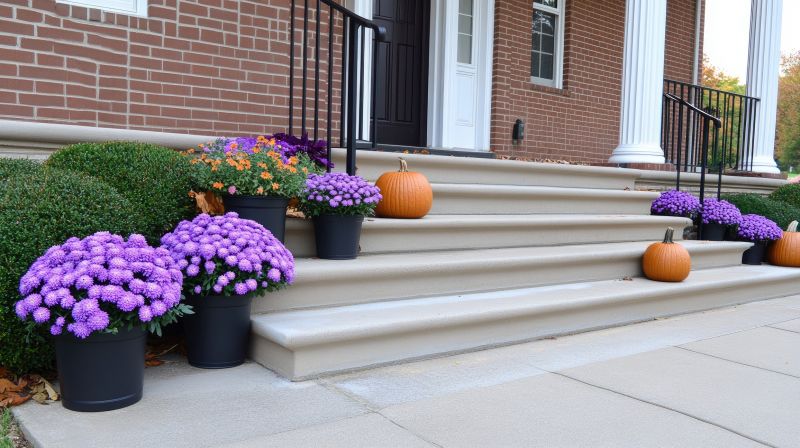 Cement Steps Service