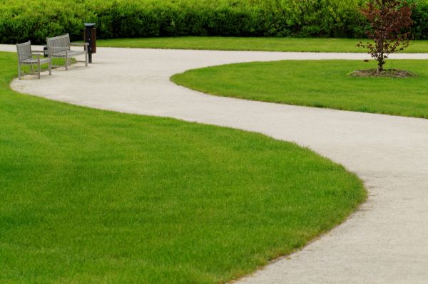 Sidewalk Concrete Service in Albany